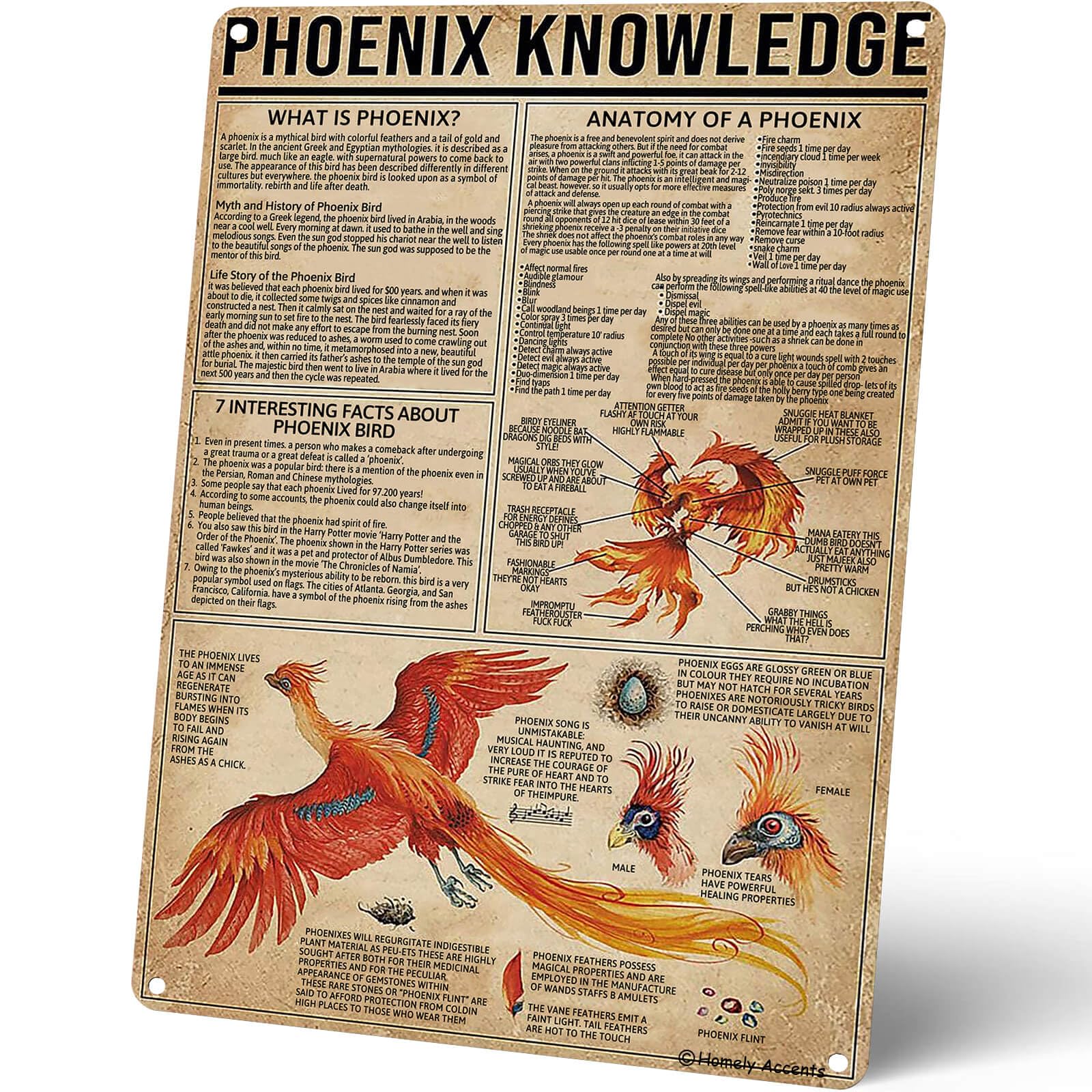 Homely Accents Phoenix Knowledge Vintage Metal Signs for Educational Wall Art Poster
| Homely Accents Phoenix Knowledge